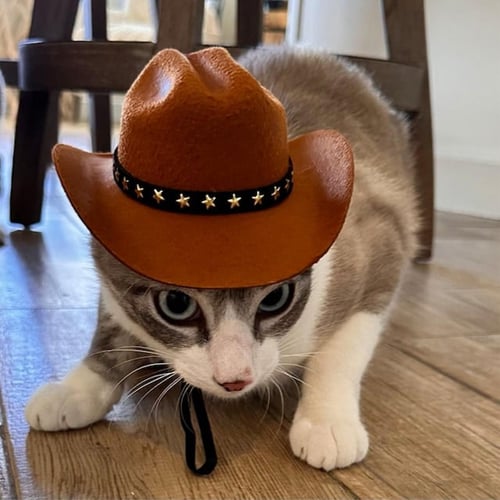 Small dog cowboy hat sale