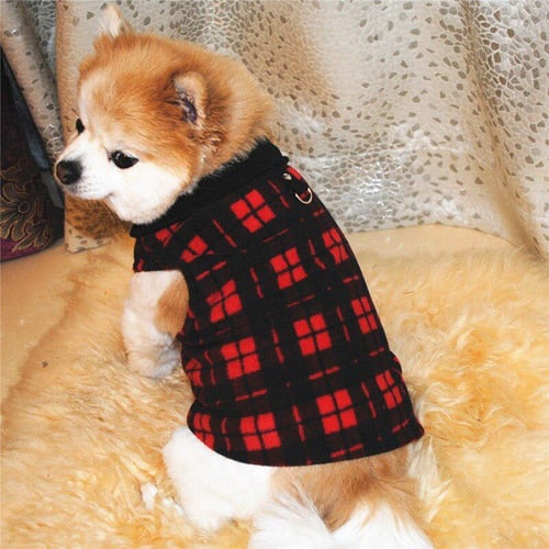 Chihuahua deals winter coats