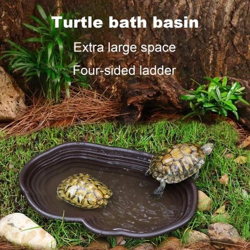 Turtle water dish best sale