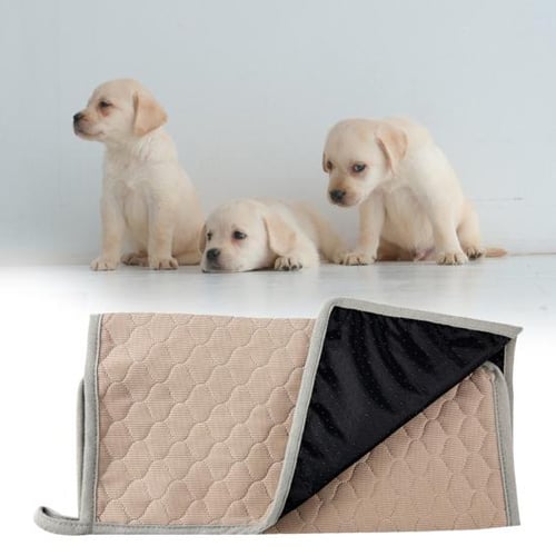 Four season sleeping pad new arrivals