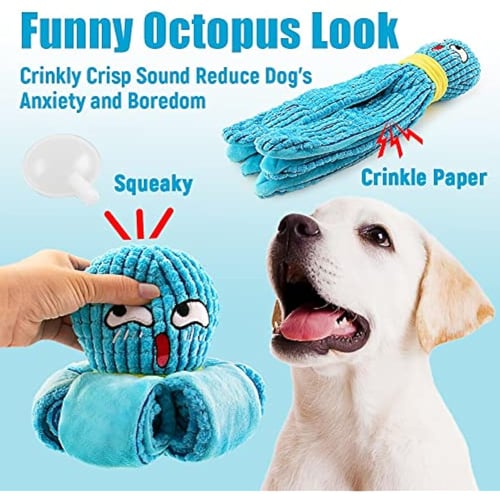 Puzzle toys for small dogs shop