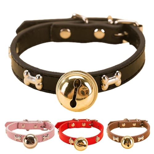 Hipidog shock collar top