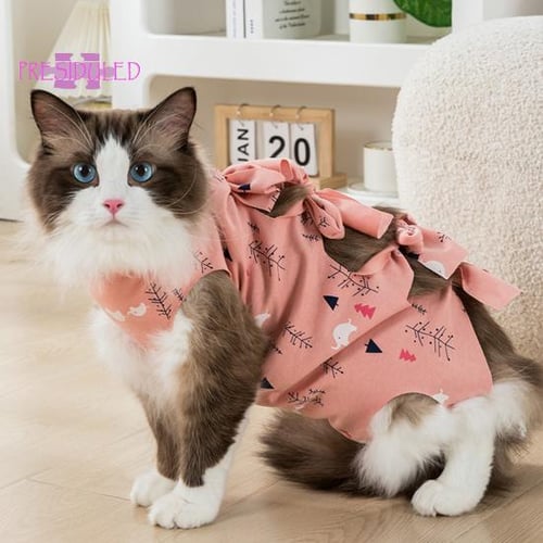 Cat online spay onesie