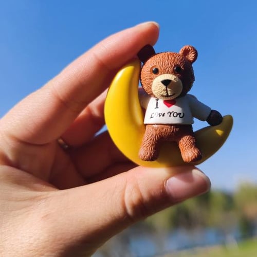 Teddy bear fish tank new arrivals