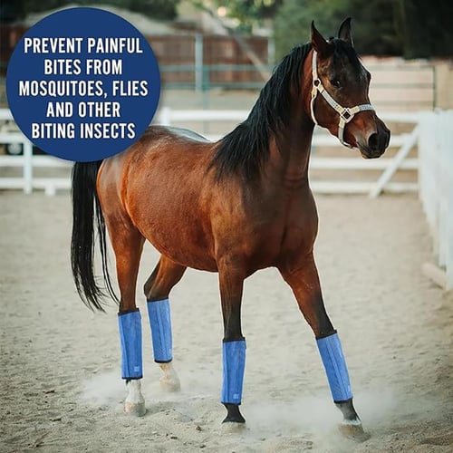 Horse boots & leg wraps outlet