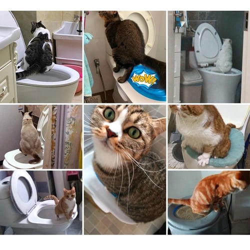Litter kwitter reviews clearance