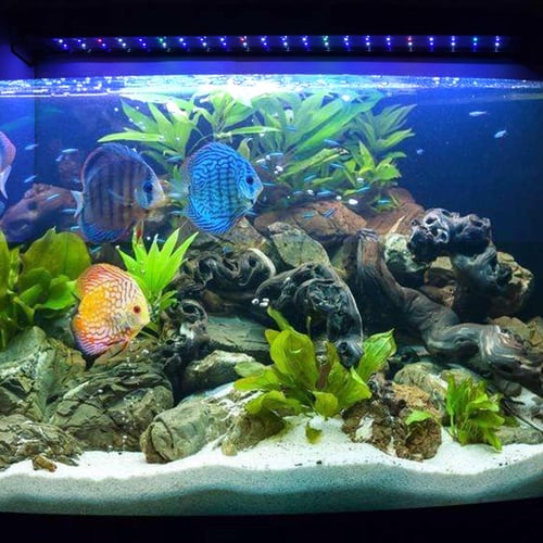 48 aquarium light best sale
