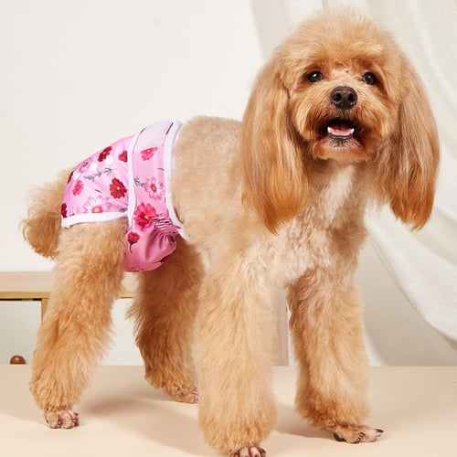 Diaper for dog with period shop