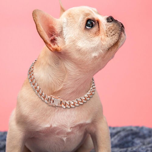 Rose gold cuban link dog chain sale