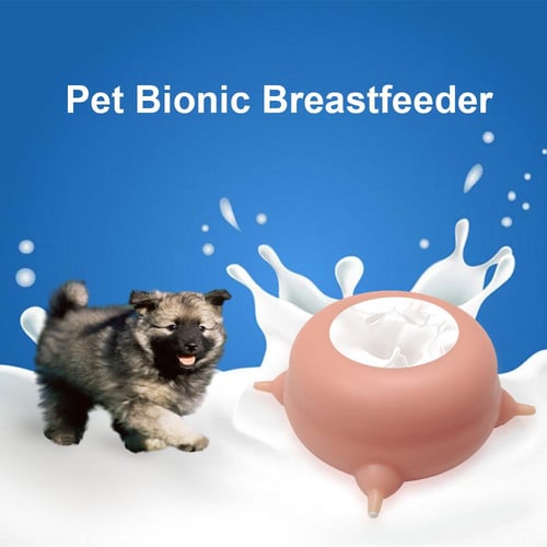 Multiple kitten bottle feeder outlet