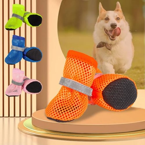 Outdoor dog booties on sale