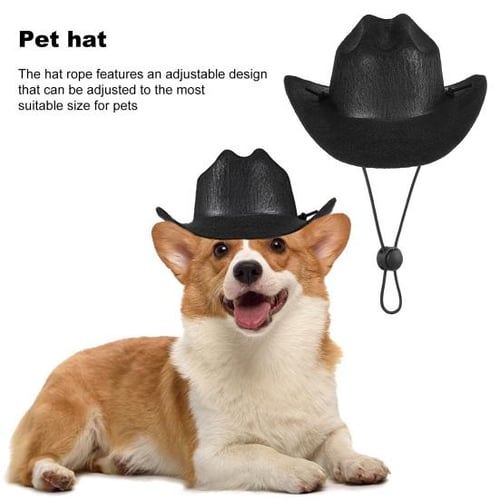 Westerns pet supplies cheap