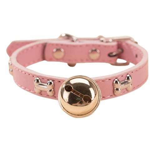 Hipidog shock collar outlet