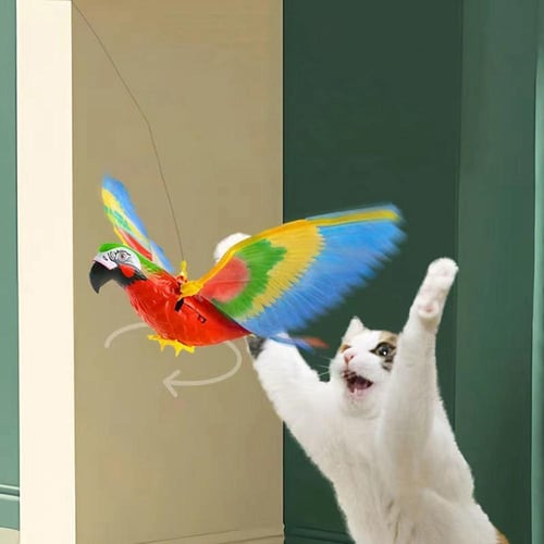 Hovering bird cat toy shop