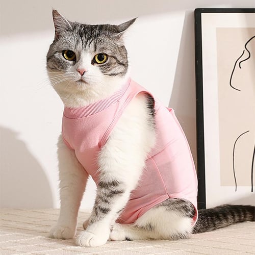 Cat protective suit online