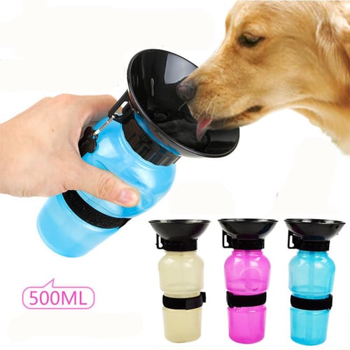 Dog drinking cup outlet