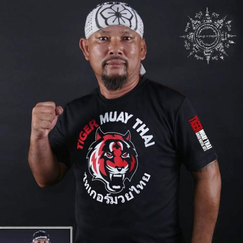 Tiger muay thai t shirt online
