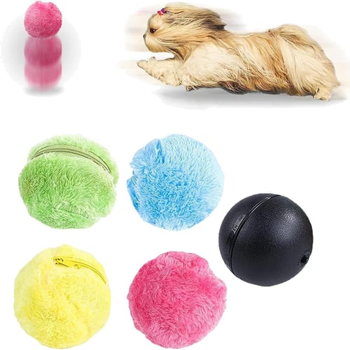 Motion ball for dogs clearance