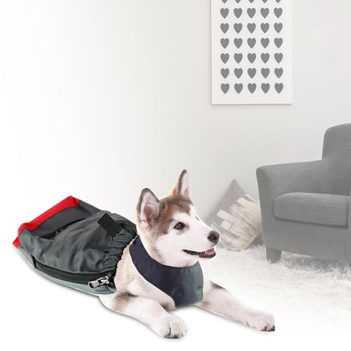 Paralyzed dog drag on sale bag