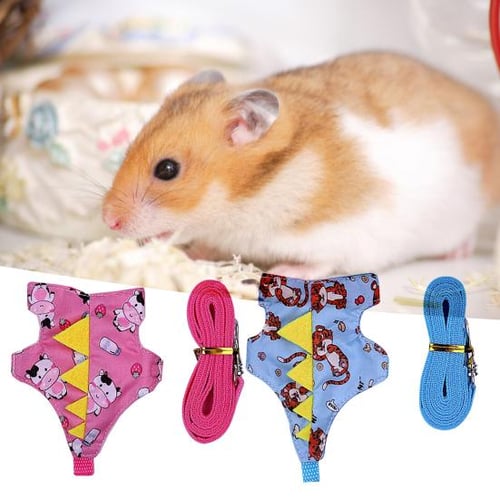 Pet store rat clothes