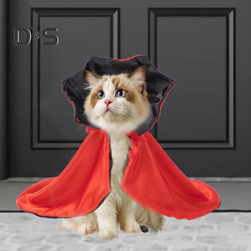 Kitten dress up shop
