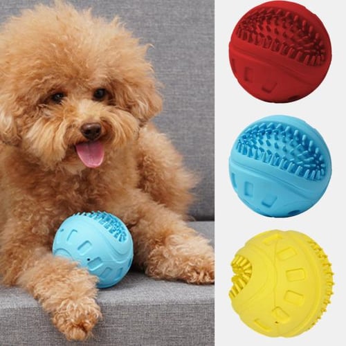 Indestructible squeaky toy online