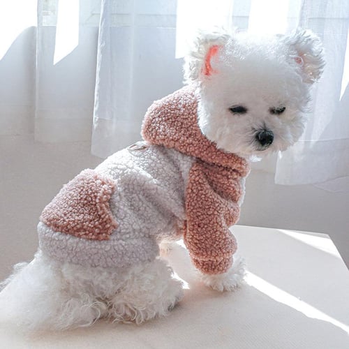 Catdog hoodie hot sale