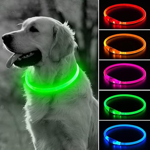 Lighted collar discount