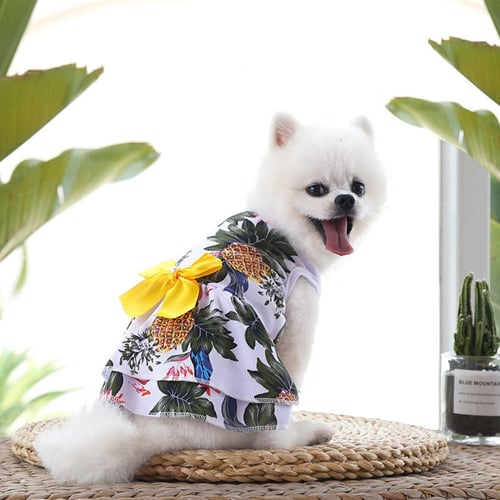 Dog hotsell summer clothes