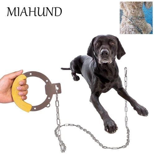 Chain leashes hotsell for big dogs