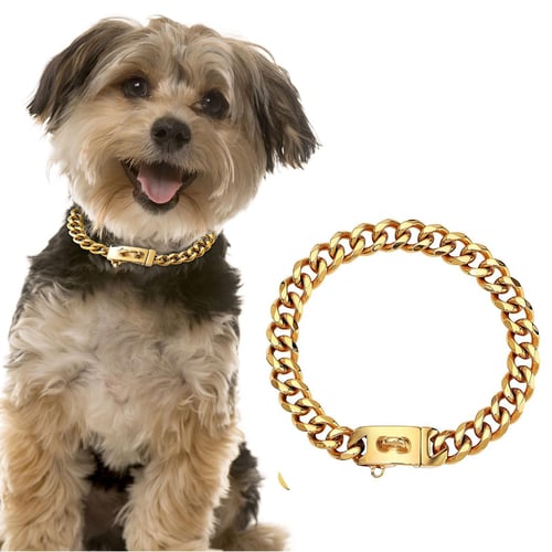 Metal stainless steel dog collar new arrivals
