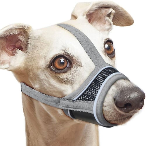 Fabric muzzle cheap