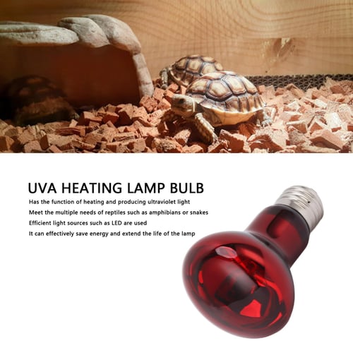 Energy efficient heat lamps for reptiles outlet