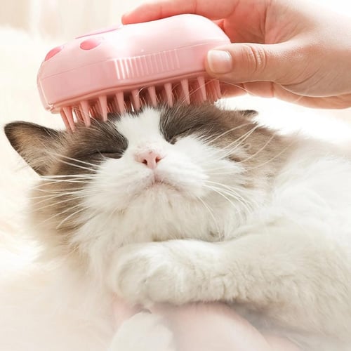 Kitten sale hair brush