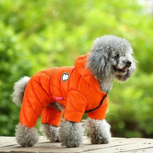 Down dog jacket top