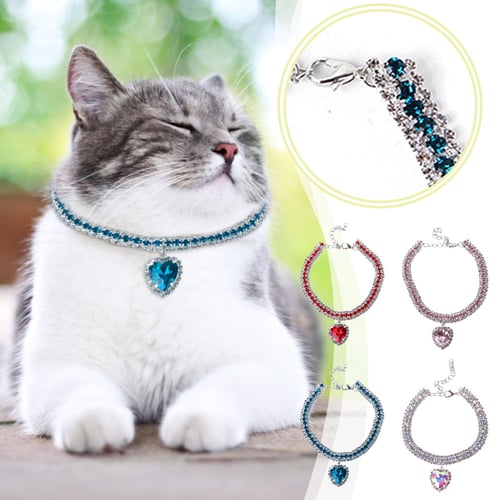 Cat with hot sale diamond collar