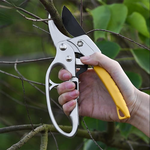 Branch pruners deals